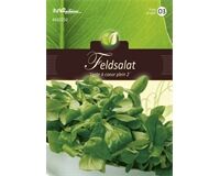 Saatgut Feldsalat, Verte Á Coeur Plein 2, für 4 – 6 lfd. m.