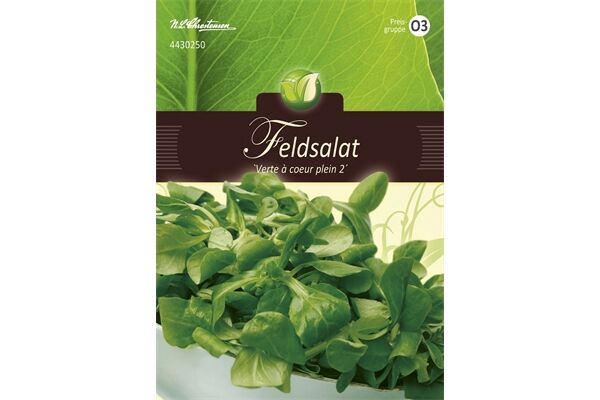  Saatgut Feldsalat, Verte Á Coeur Plein 2,