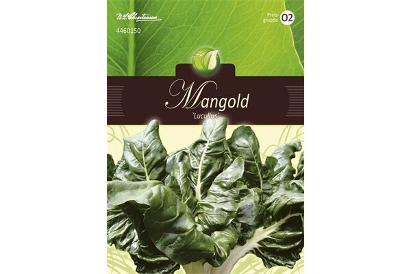  Saatgut Mangold, Lucullus für 4 lfd. m.