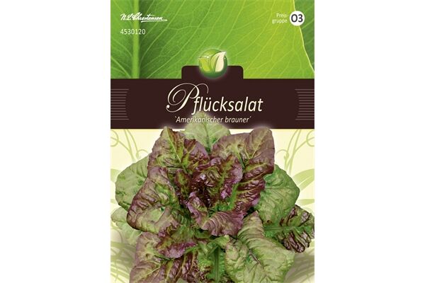 Saatgut Pflücksalat, Amerikanischer Brauner,