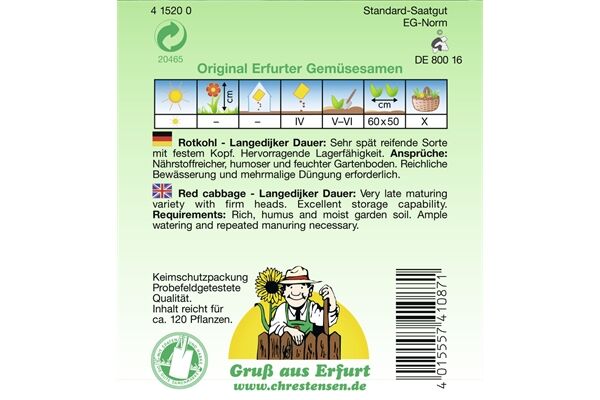  Saatgut Rotkohl, Langendijker Dauer 2