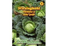 Saatgut Wirsingkohl Vorbote 3, sehr frühe Sorte, für ca. 120 Pflanzen