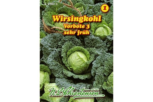  Saatgut Wirsingkohl Vorbote 3, sehr frühe Sorte,