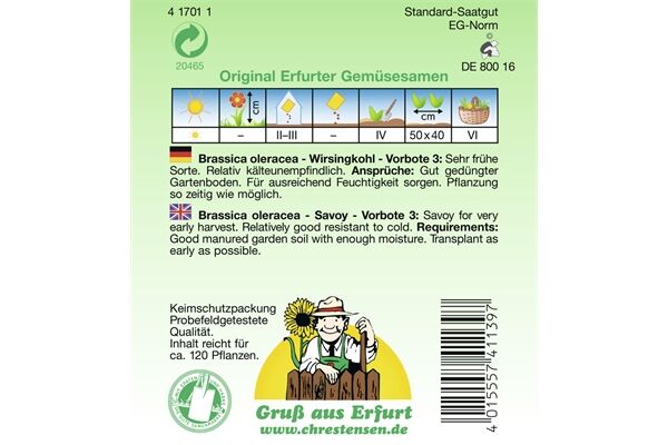  Saatgut Wirsingkohl Vorbote 3, sehr frühe Sorte,