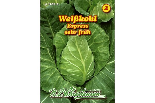  Saatgut Weißkohl Express Spitzkohl, frühe Sorte