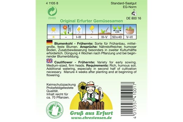  Saatgut Blumenkohl Frühernte,