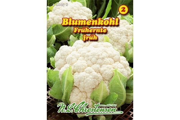  Saatgut Blumenkohl Frühernte,