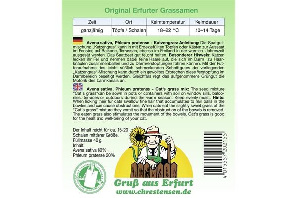  Saatgut Katzengras enthält wertvolle Folsäure und