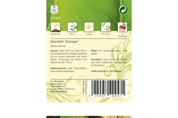  Saatgut Rosenkohl,groninger