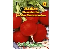 Radies Riesenbutter Saatgut inklusive Stecketikett für 6-8 lfd. m.
