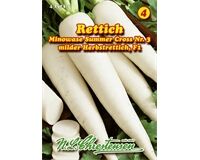 Saatgut Rettich Minowase Summer F1 milde Sorte für 8 – 10 lfd. m.