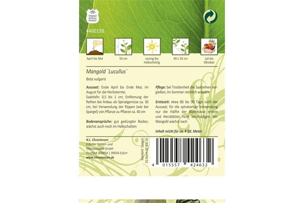  Saatgut Mangold, Lucullus für 4 lfd. m.