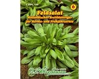 Saatgut Feldsalat Holländischer breitblättriger für 30 – 35 lfd. m.