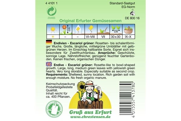  Saatgut Endivien, Escariol grüner,