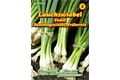  Saatgut Lauchzwiebel Feast,