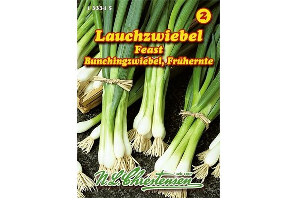  Saatgut Lauchzwiebel Feast,