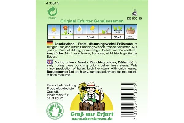  Saatgut Lauchzwiebel Feast,