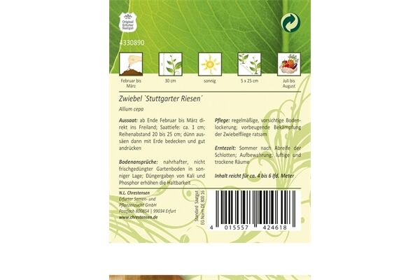  Saatgut Zwiebeln, Stuttgarter Riesen,