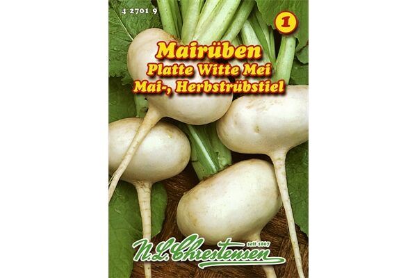  Saatgut Mairübe Holländische Weiße,
