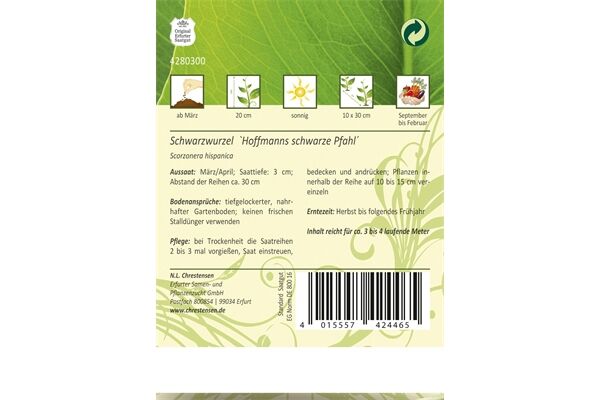  Saatgut Schwarzwurzel, Hoffmanns Schwarze Pfahl,