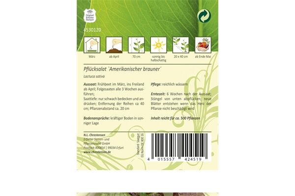  Saatgut Pflücksalat, Amerikanischer Brauner,