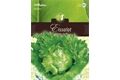  Saatgut Eissalat, Laibacher Eis 2, für 200