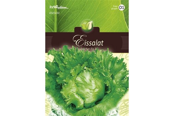  Saatgut Eissalat, Laibacher Eis 2, für 200