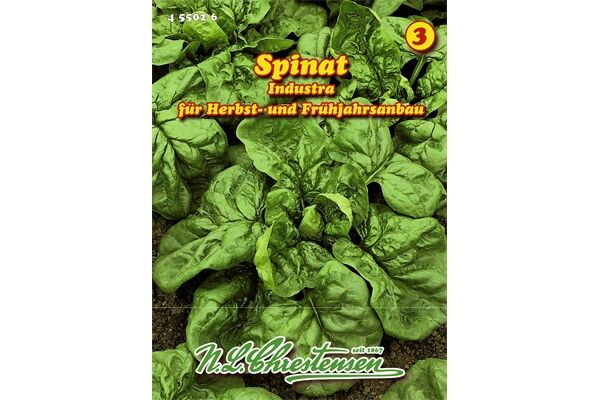  Saatgut Spinat Industra, hoher Ertrag,