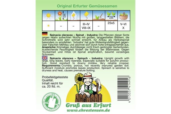  Saatgut Spinat Industra, hoher Ertrag,