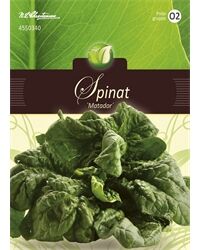 Saatgut Spinat, Matador, für 7 - 8 lfd. m.