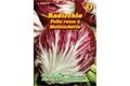 Saatgut Radicchio Palla rossa 2