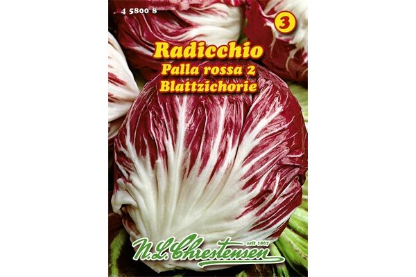  Saatgut Radicchio Palla rossa 2