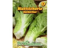 Saatgut Blattzichorie Zuckerhut sehr ertragreich für 8 - 10 lfd. m.