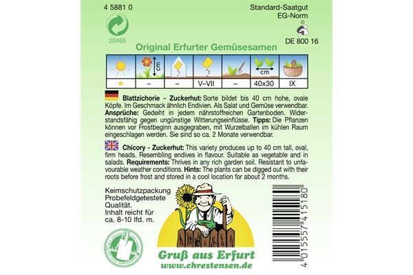  Saatgut Blattzichorie Zuckerhut sehr ertragreich