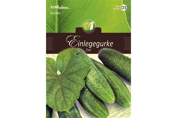  Saatgut Einlegegurken, Eva, für 30 Pflanzen