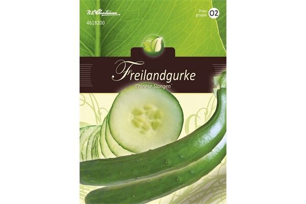  Saatgut Freilandsalatgurken, Chinese Slangen,