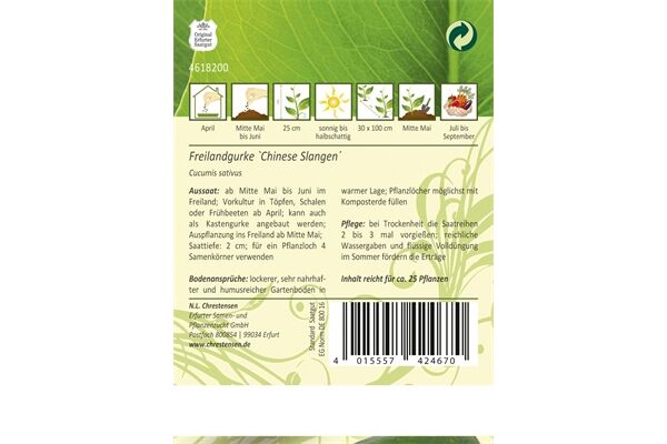  Saatgut Freilandsalatgurken, Chinese Slangen,