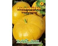 Saatgut Riesenkürbis Gele Reuzen gelb für ca. 3 – 5 Pflanzen