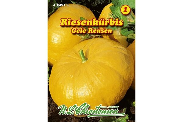  Saatgut Riesenkürbis Gele Reuzen gelb