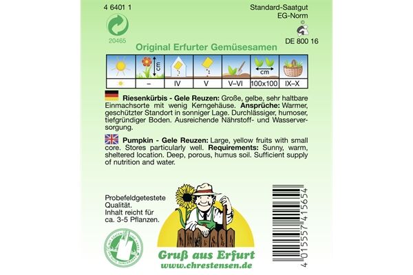  Saatgut Riesenkürbis Gele Reuzen gelb