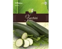 Saatgut Zucchini, Zuboda, für 5 Pflanzen
