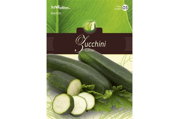  Saatgut Zucchini, Zuboda, für 5 Pflanzen