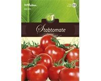 Saatgut Stabtomaten, Tamina  für 120 Pflanzen