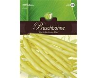 Saatgut Buschbohnen 'Wachs Beste Von Allen' für 7 lfd. m.