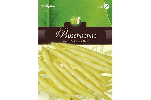  Saatgut Buschbohnen 'Wachs Beste Von Allen'
