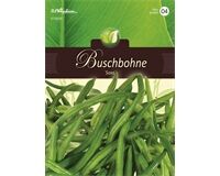 Saatgut Buschbohnen 'Saxa' für 7  lfd. m.