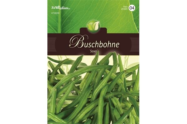  Saatgut Buschbohnen 'Saxa' für 7 lfd. m.