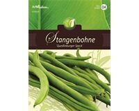 Saatgut Stangenbohnen, Quedlinburger Speck, für 12 Stangen