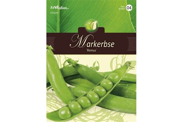  Saatgut Markerbsen, Remus, für ca. 8 lfd. Meter