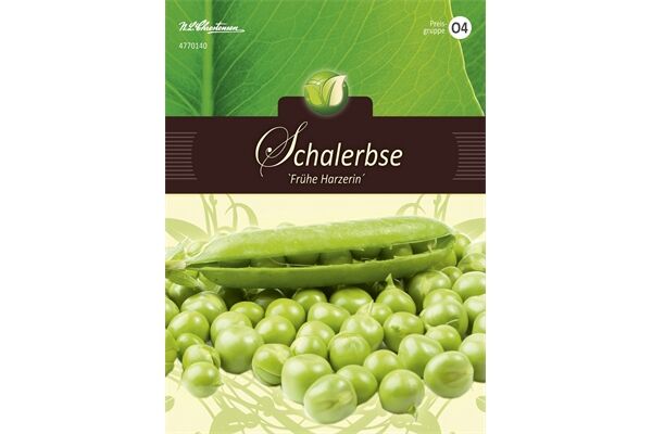  Saatgut Schalerbsen, Frühe Harzerin, für ca.